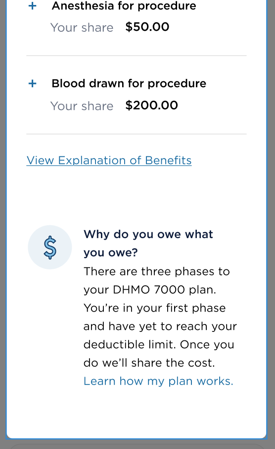 Why do you owe what you owe — plain language section